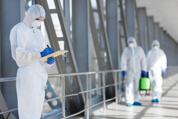 Best Post-Construction Mold Inspection  in Red Bay, AL
