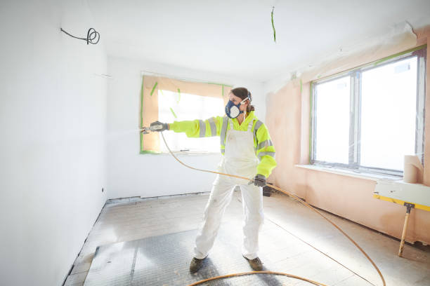 Professional Mold Removal in Red Bay, AL
