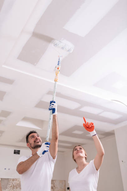 Best Mold Remediation for Vacation Homes  in Red Bay, AL