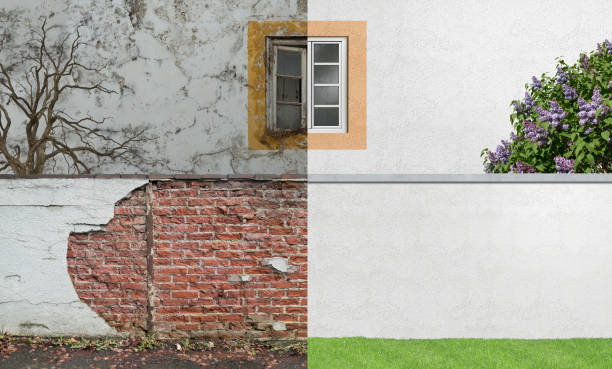 Best Emergency Mold Remediation  in Red Bay, AL