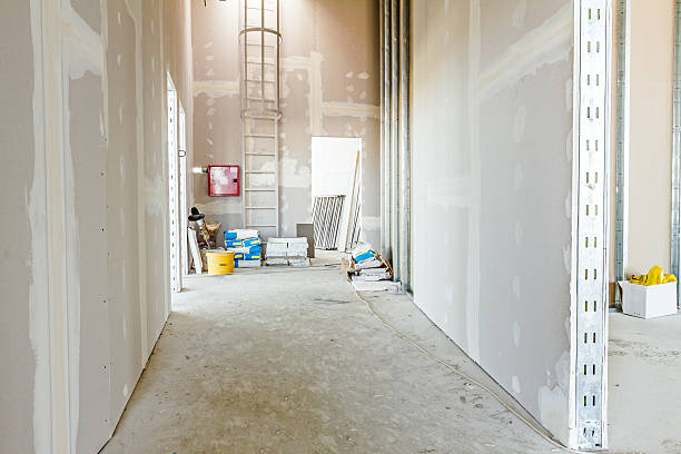 Best Mold Documentation for Insurance Claims  in Red Bay, AL