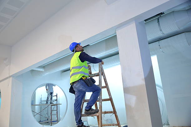 Best Mold Damage Restoration  in Red Bay, AL